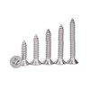 M5 x 25mm Self Tapping Screws, Phillips Flathead 304 Stainless