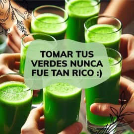 Jugo Verde en Polvo Quotidien Green Mix para Digestión y Energía con Matcha y Probióticos, Sabor Frutos Rojos, 30 Porciones                           