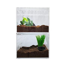 Herpcult Magnetic Acrylic 8x6x6 Inch Medium Flat/Long Enclosure Reptile Terrarium Cage Tank Tarantula Scorpion Sling Isopods Lizards Invertebrates Insects Mantis Snake Gecko Frog