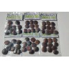 Mexicanherbs sandbox tree 10 seeds (Hura crepitans, possumwood, jabillo )