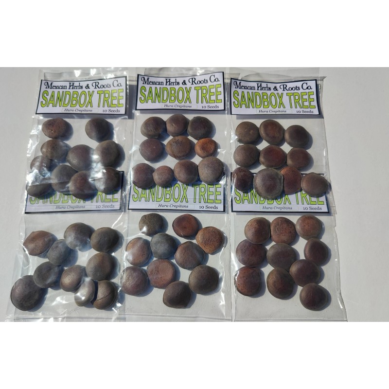 Mexicanherbs sandbox tree 10 seeds (Hura crepitans, possumwood, jabillo )