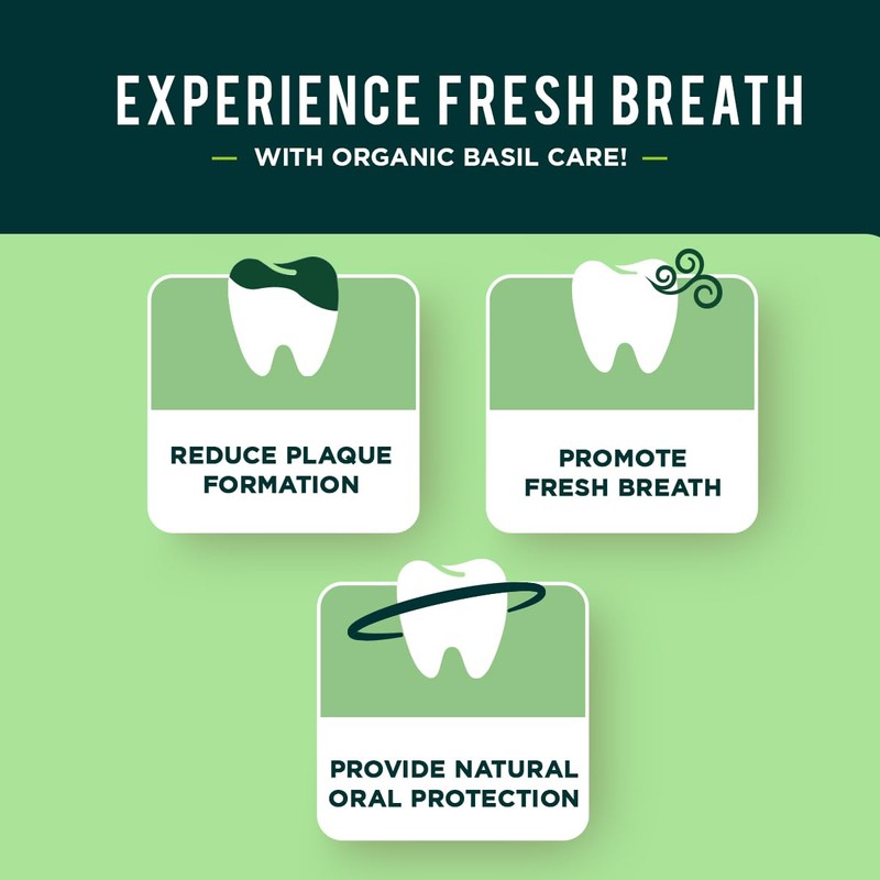 Dabur Organic Basil Toothpaste for Fresh Breath 100ml - Natural