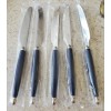Giannini Imported Silverware 24 piece blu stainless steel set. Retails