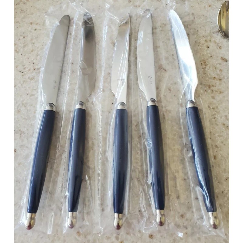 Giannini Imported Silverware 24 piece blu stainless steel set. Retails