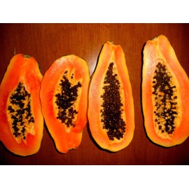 10 Seeds of Maradol Papaya Tree Seeds! Grows fruit in only 9 MONTHS from seed!