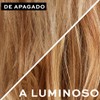 John Frieda Sheer Blonde Highlight Activating Moisturising Shampoo with Avocado