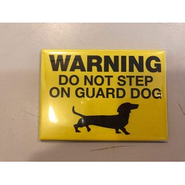 Magnets/Dog Magnet/Dog Lover Gift/Wiener Dog Magnet/Dachshund Magnet/Guard Dog/Daschund Gift/Doxie Gift/Wiener Dog Gift