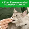 Greenies Feline Veterinarian-Recommended Adult Natural Dental Cat Treats, Oven Roasted