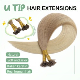 XDhair U Tip Hair Extensions Human Hair 50 Strands 40g 14inch Ombre Ash Brown to Platium Blonde Hair Extensions Nail U Tip Hair Extensions #8/60 14inch