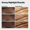 Revlon Colorsilk Color Effects Frost and Glow Highlights, Honey, 1