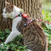 Arnés y correa para gatos a prueba de escape, para