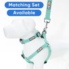 Pawtitas 6 FT Pet Puppy Leash Reflective Dog Leash Comfortable