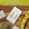 Nutra Tea Nutratea - Té de Gordolobo y Tomillo -