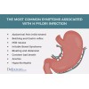 SUPPLEMENTS4ME NATURAL HELP FOR STOMACH BACTERIA - H. PYLORI -