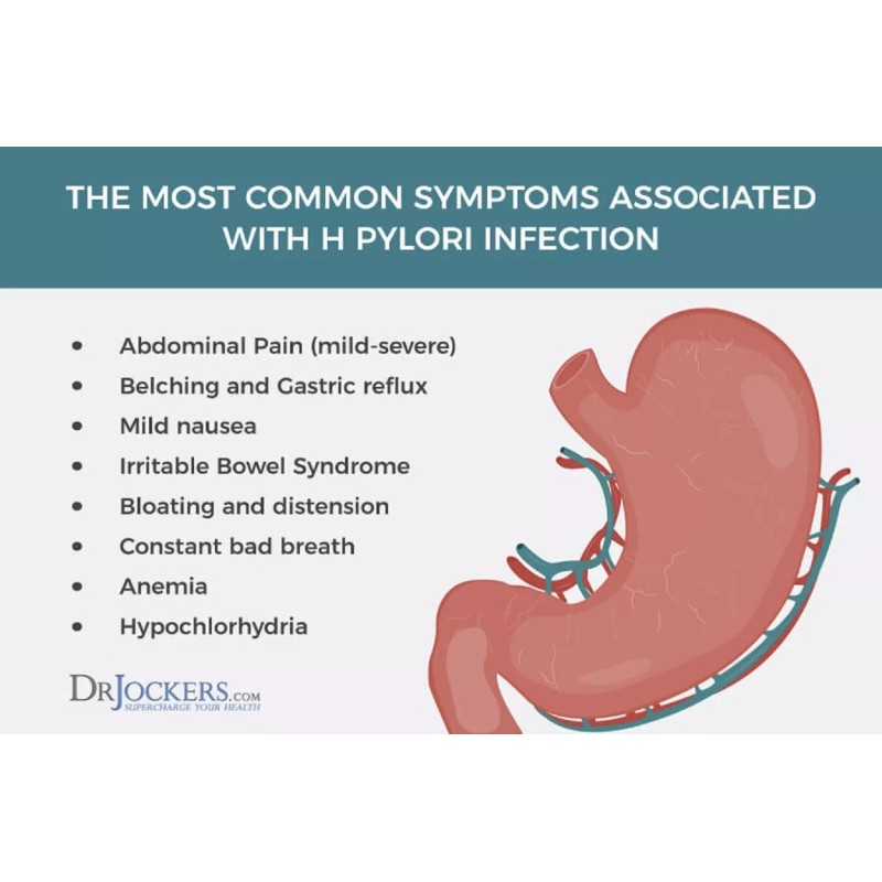 SUPPLEMENTS4ME NATURAL HELP FOR STOMACH BACTERIA - H. PYLORI -