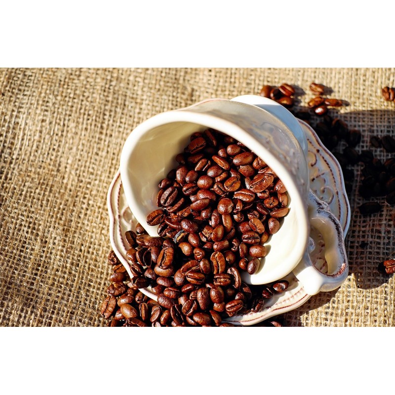 Cafe Du Monde Coffee with Chicory, 15 oz, (Pack of