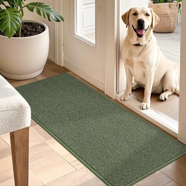 BEQHAUSE Dirt Trapper Door Mat 20" x 48", Non-Slip Washable Doormats Entrance Mat, Dirt Resistant and Absorbent Welcome Mat, Low Profile Floor Mats for Front Back Door and Entryway, Green