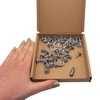 SKIR'CO (Pack of 50) Painted 4.2 x 16 mm Self