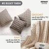 Bernat Maker Splash Bark Yarn - 2 Pack of 250