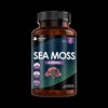 New Leaf Products Sea Moss Tablets