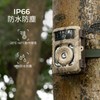 K&F Concept Trail Camera, 4K, 32 MP, Wi-Fi Compatible, Bluetooth,