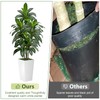 VIVATREES Dracaena Tree 5FT Artificial, 60in Tall Faux Dracaena Tree