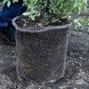 PEFECOP 5 Gallon Root Guard Basket, 6 PCS Mesh Stainless