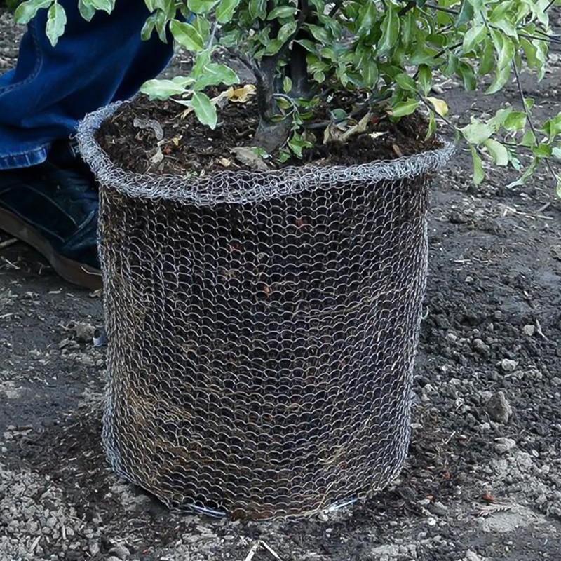 PEFECOP 5 Gallon Root Guard Basket, 6 PCS Mesh Stainless