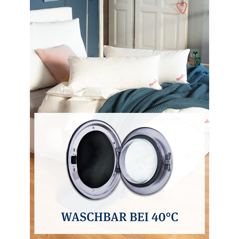 PARADIES Three-Chamber Pillow 40 x 80 cm - 100 g