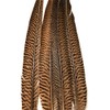 Pheasant Tail Feather Mix (16-18" per 16 Feathers)