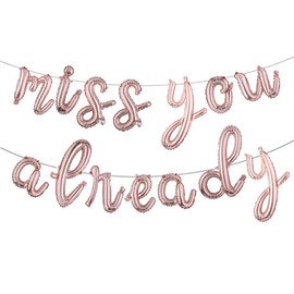 Farewell Decorations Party Going Away Party Decorations for Coworker We Will Miss You Decorations Miss You Already Balloons Banner Goodbye Bon Voyage Party Decoration (L MISS YOU ALREADY Rose Gold)