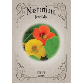 Set of Nasturtium Seed Packets - Create Your Dream Garden - Bulk Flower Seeds (50)