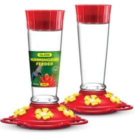 Hummingbird Feeder 10 oz [Set of 2] Glass Feeders for Outdoors, with Built-in Ant Guard - Circular Perch with 5 Feeding Ports - Wide Mouth for Easy Filling/2 Part Base for Easy Cleaning