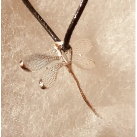 Unbranded 925 Sterling Silver Plated Dragonfly Charm Leather Cord Necklace Made in USA