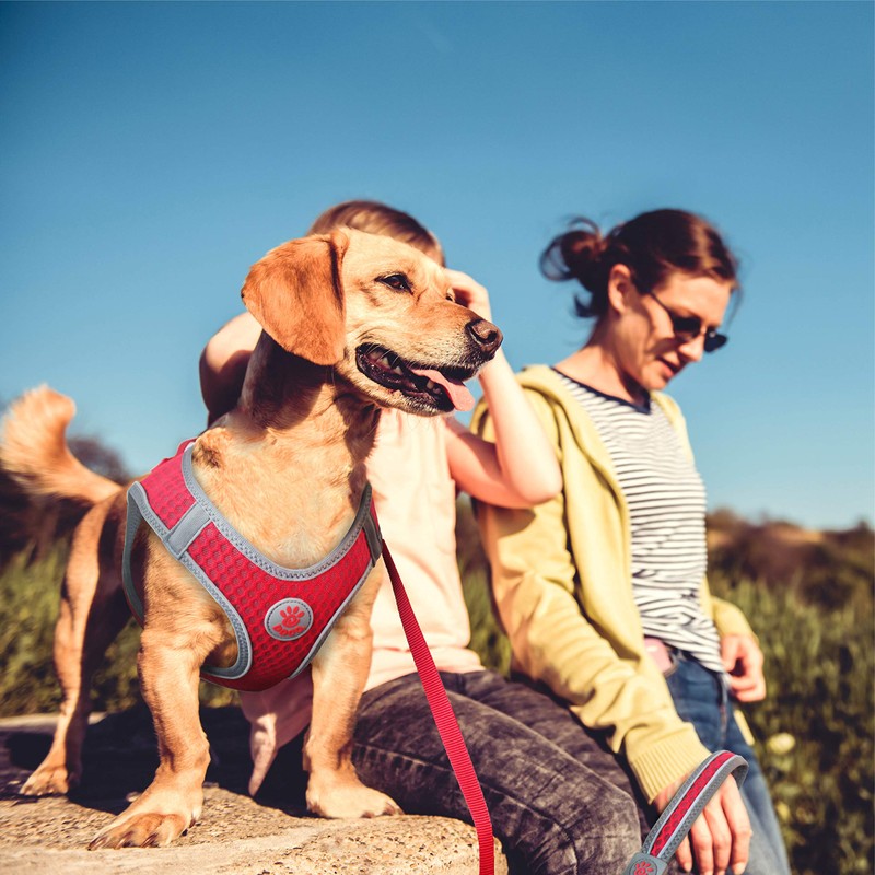 DOCO Athletica Quick FIT Mesh Harness - No Choke