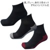 Hayashi SI765 Men's Military Feet Antibacterial Silk, 3 Pairs Set,