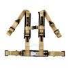 Aniki Dynamics 2 ANIKI DARK GOLD 4 POINT AIRCRAFT BUCKLE
