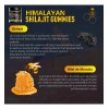 Gwynne Shilajit Gummies 3000mg Para Hombres Y Mujeres 60 Gummies