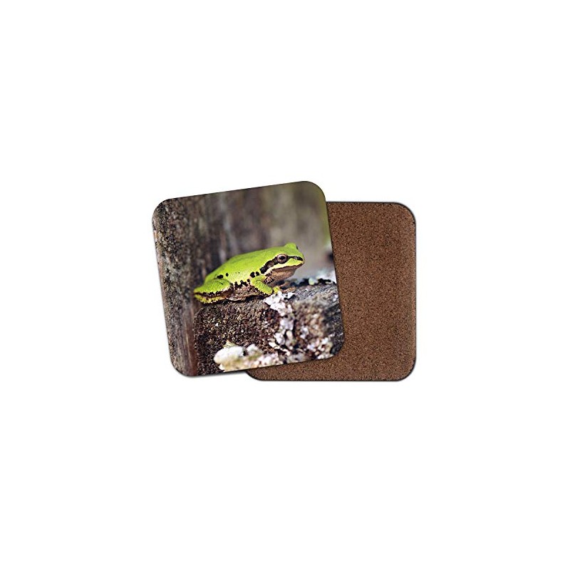 1 x Cute Green Frog Coaster - Toad Frogs Amphibian