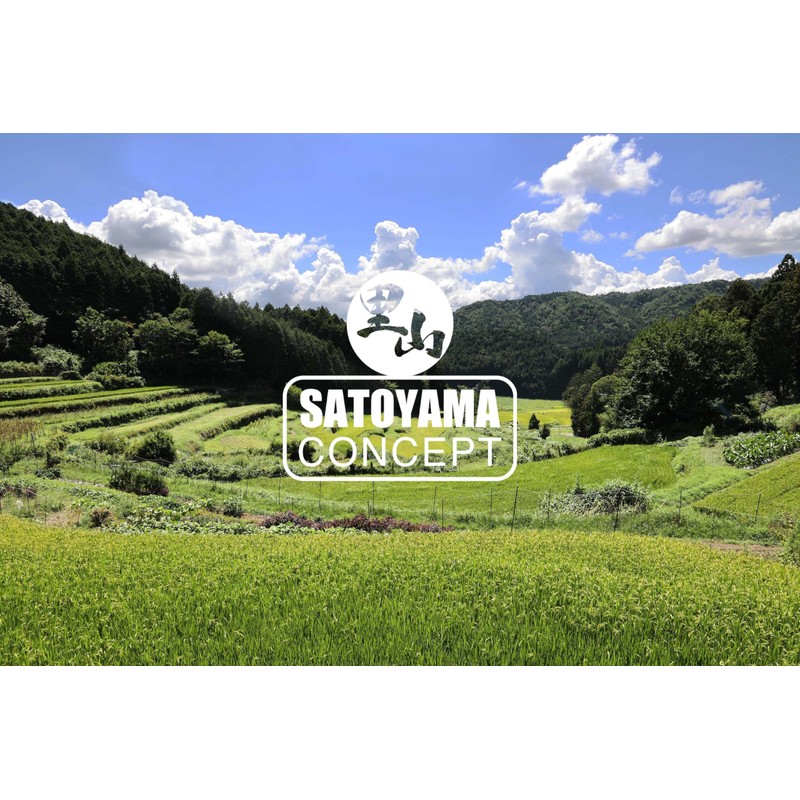 Observation Case Clear