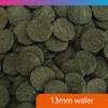 NT Labs Pro-f Algae Wafers, Food For Bottom Feeding Fish