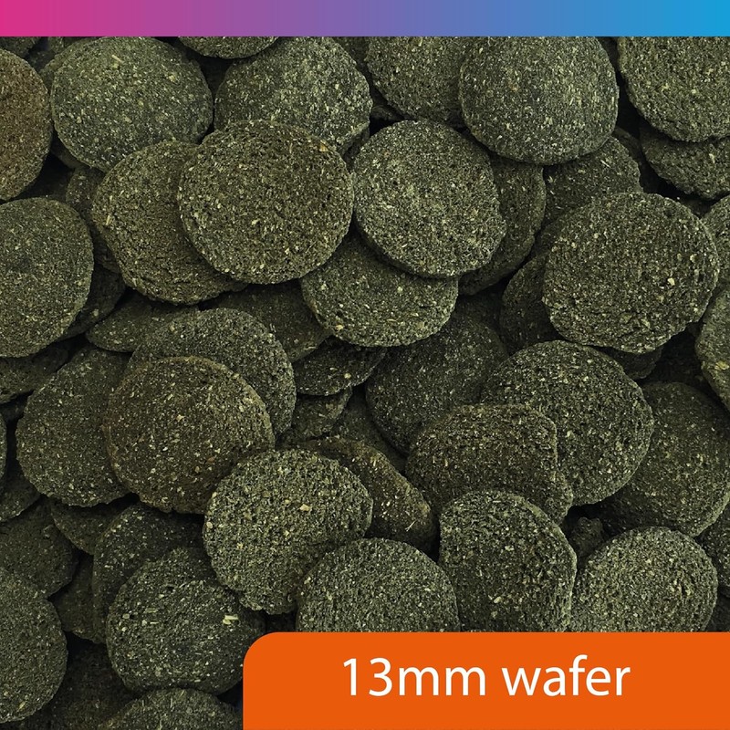 NT Labs Pro-f Algae Wafers, Food For Bottom Feeding Fish
