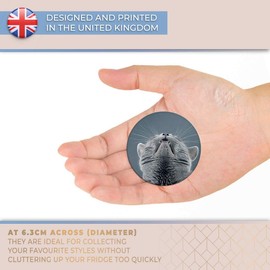 Destination Vinyl ltd Magnet for Refrigerator, Fridge - Funny Cute Cat British Blue for Office, Cabinet and Whiteboard, Magnetic Stickers, 21203