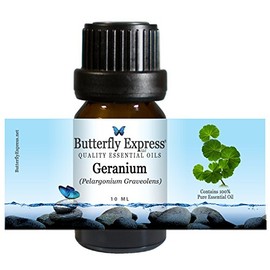 Geranium Essential Oil 10ml - 100% Pure - by Butterfly Express