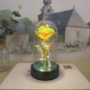 Eternal Rose Gift for Her – Acrylic Rose Display with