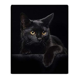 Yisumei Blanket Soft Flannel Soft Fleece Blanket Bed Throw Black Cat
