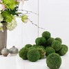 LOBUJOU 6pcs Moss Balls Decorative Faux Green Dried Artificial Moss