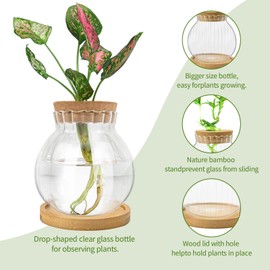 Handbanary Plant Propagation Station, Water Planting for Plants with Tray & Wooden Saucer, Hydroponics Plants Jars Home Office Desktop Decor, Glass Planters for Indoor Plants