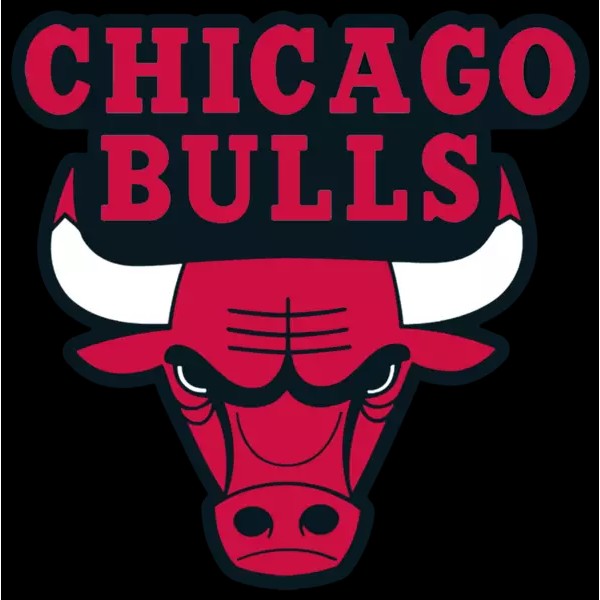Chicago Bulls Logo Type Die-cut MAGNET