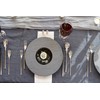 Fortessa Dragonfly 18/10 Stainless Steel Flatware, 5 Piece Place Setting,
